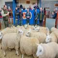 Sheep show and sale (9)